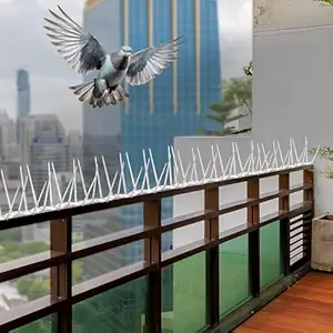 Balcony Pigeon Spikes Chennai