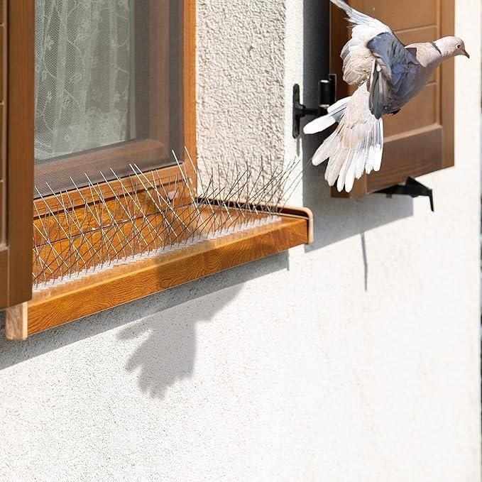 Window Pigeon Spikes Chennai