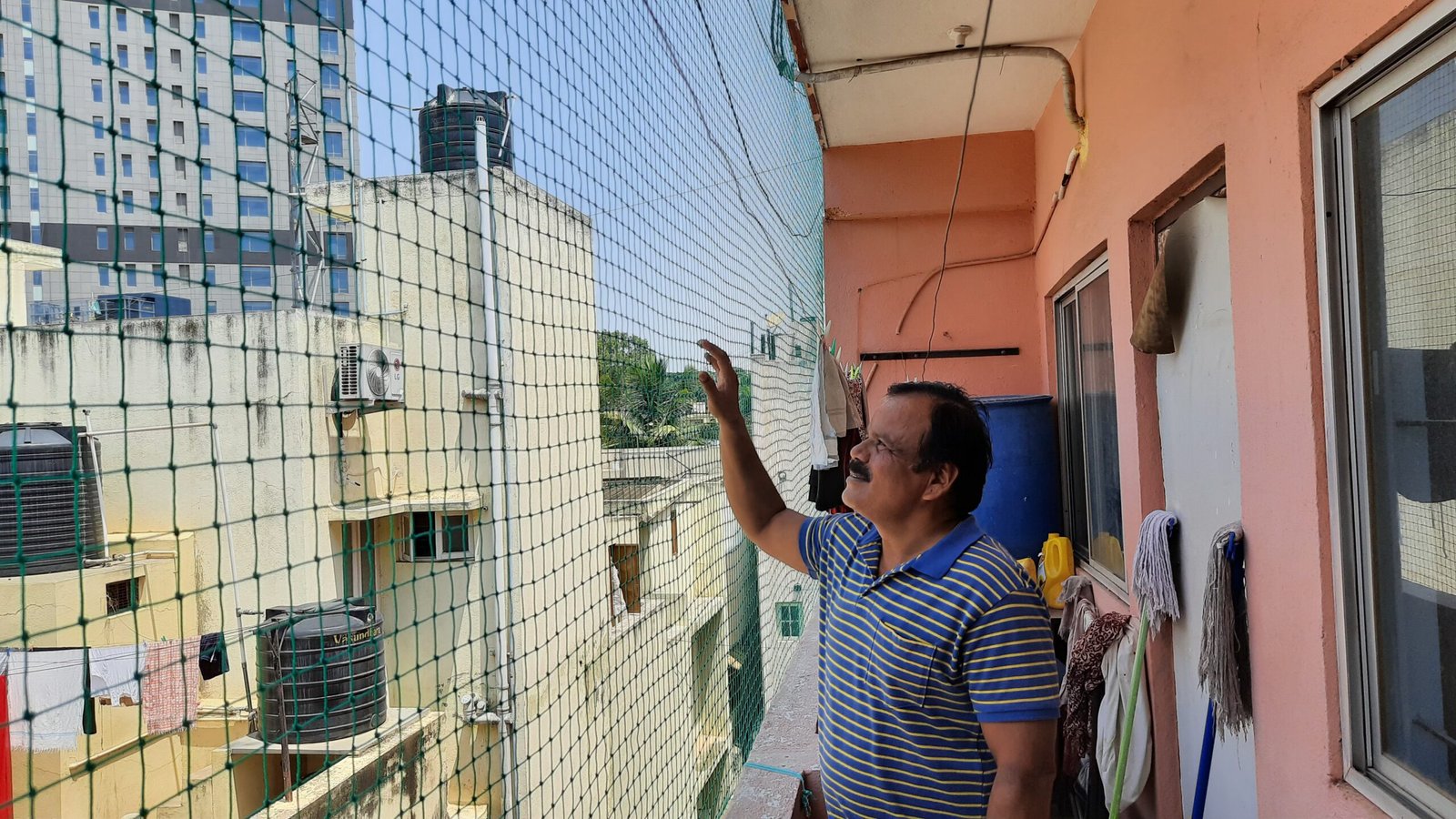 Pigeon Nets Chennai