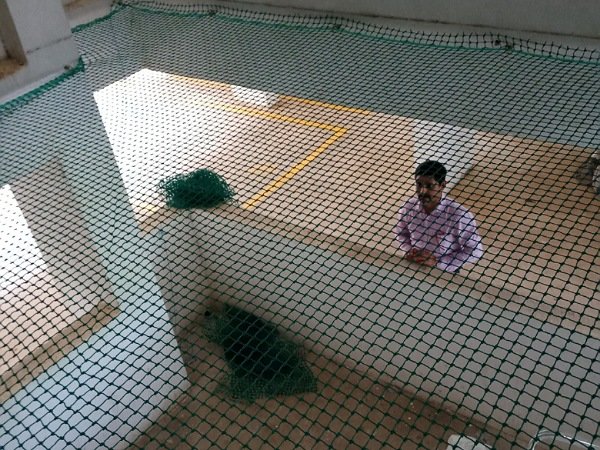 Safety Nets Chennai